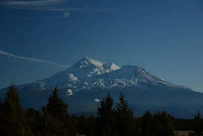 DSC_2977 (Large).JPG